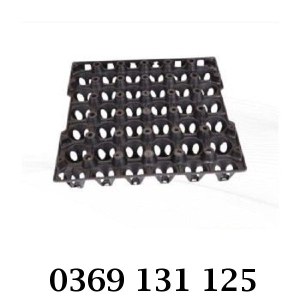 Vỉ nhựa đựng trứng tiện lợi, bền đẹp