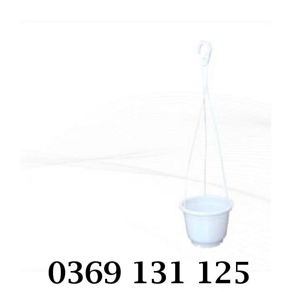 Chậu nhựa trồng hoa trep thiết kế đẹp mắt, tinh tế
