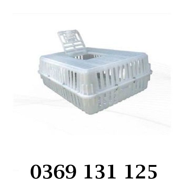 Lồng nhốt gà tài chất lượng cao, bền đẹp vượt thời gian
