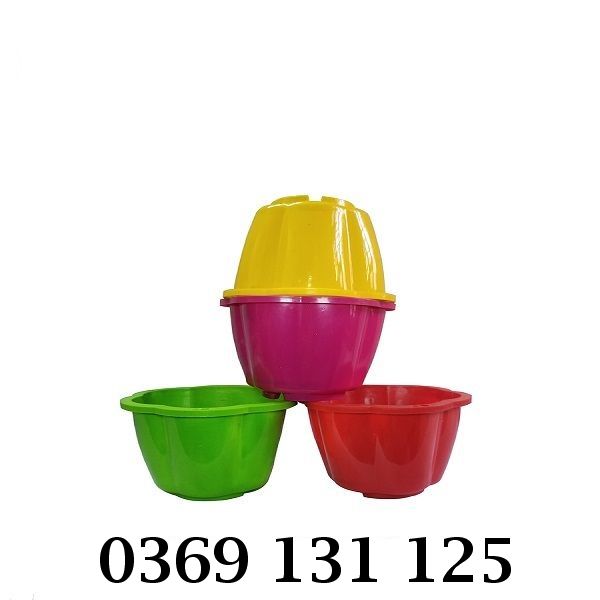 Chậu hoa múi khế đa dạng màu sắc, kiểu dáng tinh tế